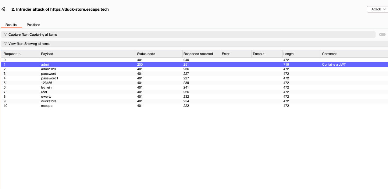 burpsuite screenshot