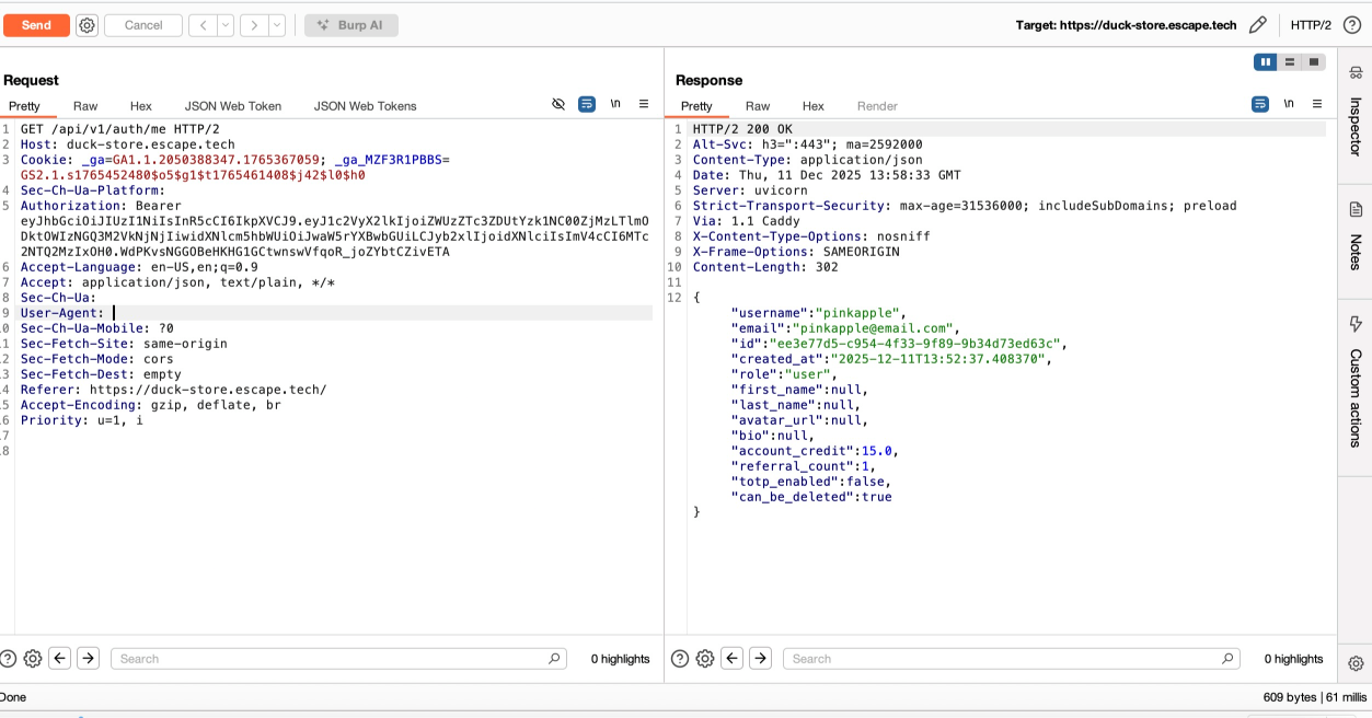 burpsuite screenshot
