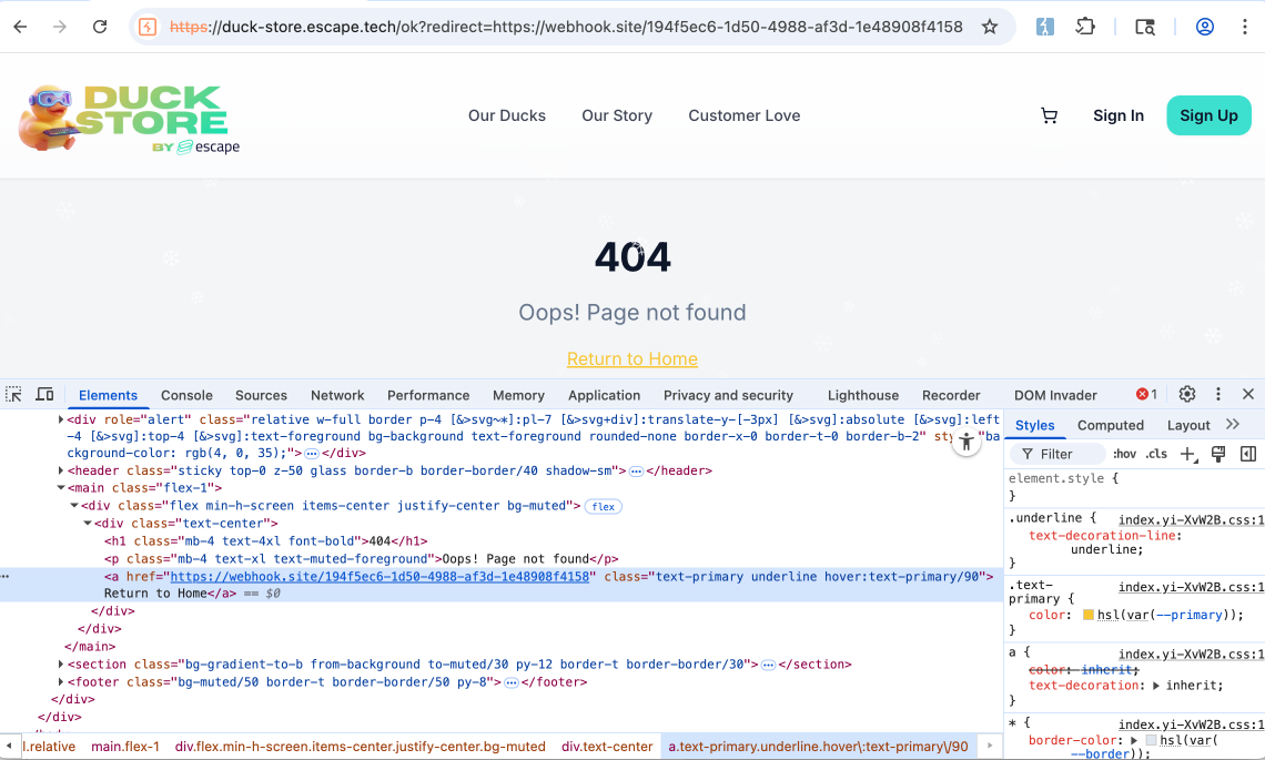 burpsuite screenshot