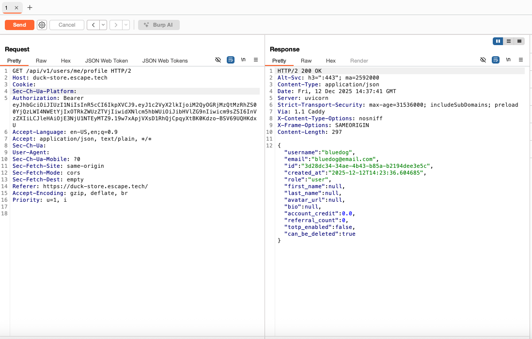 burpsuite screenshot